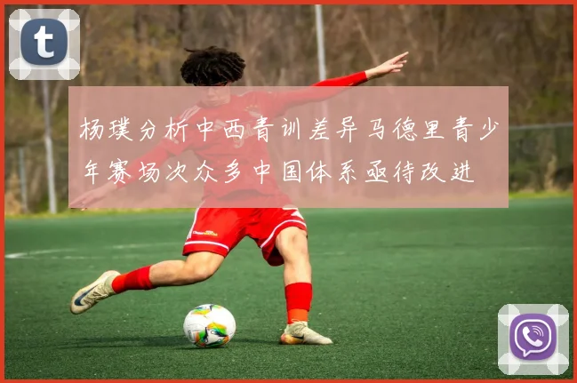 杨璞分析中西青训差异马德里青少年赛场次众多中国体系亟待改进